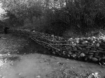 Жамаат жергиликтүү көйгөйлөрдү чечүүдө: Чолпон-Ата айыл өкмөтүнүн жергиликтүү жамаат менен кызматташтыгынын практикасы 